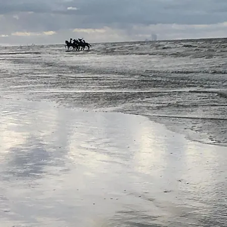 Vlasbloem 0002 Διαμέρισμα Nieuwpoort